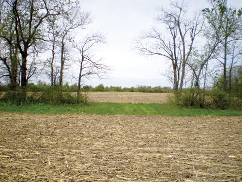 Property photo 2 - 160 Acres in 4 Tracts - Building Potential and Cropland